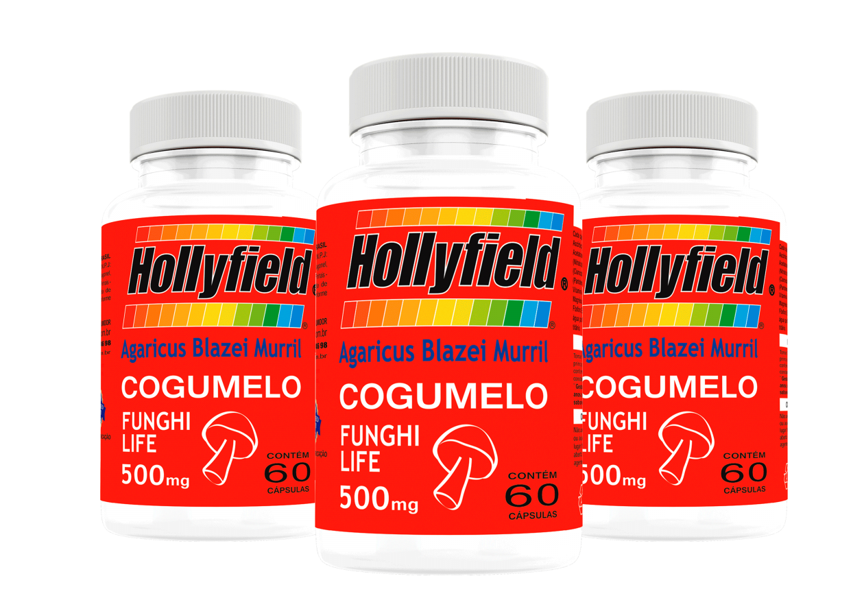 Cogumelo Hollyfield Agaricus 500mg 60 Cápsulas Kit com 3 